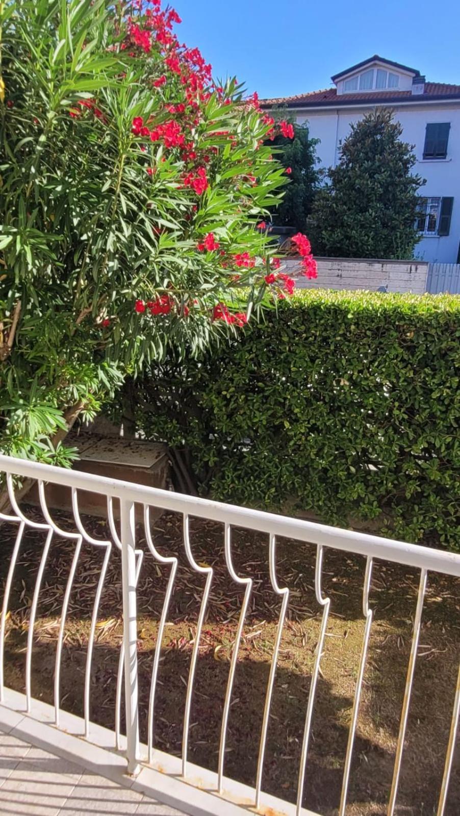 Appartamento Stella Marina A Due Passi Dal Mare E Dal Centro Marina Di Carrara Zewnętrze zdjęcie